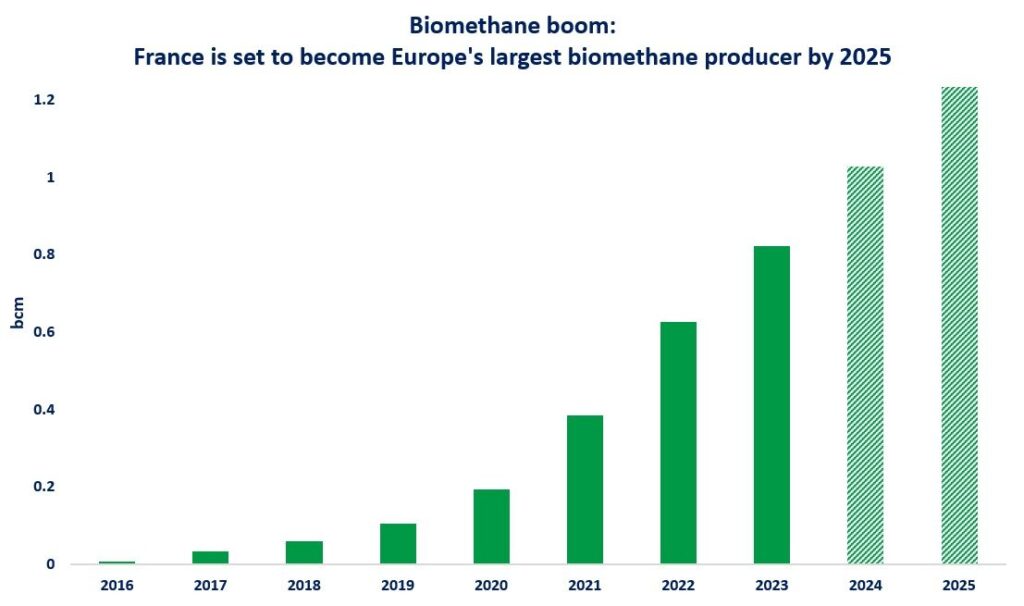biomethane-output