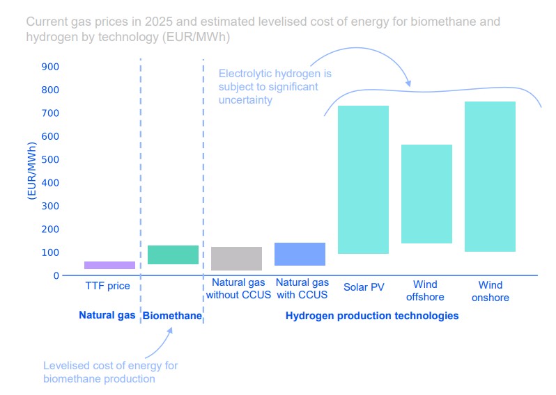 Chart comparing 2025 gas prices with estimated biomethane and hydrogen production costs