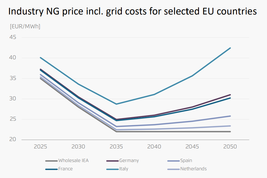 European industrial gas price outlook to 2050 | European Gas Hub Industrial natural gas prices including grid costs across selected EU countries from 2025 to 2050